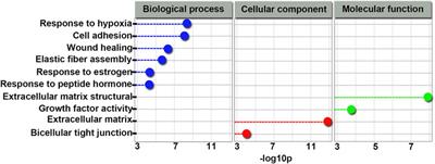 Identification of Competing Endogenous RNA and Micro-RNA Profiles and Regulatory Networks in 4-Nonylphenol-induced Impairment of Sertoli Cells